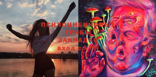 не бодяженный Гусь-Хрустальный