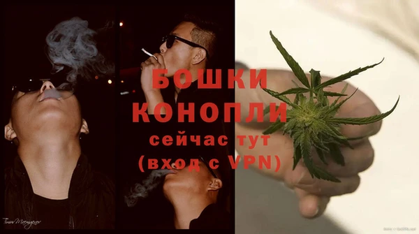 не бодяженный Гусь-Хрустальный