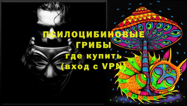 не бодяженный Гусь-Хрустальный