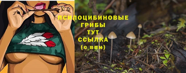 не бодяженный Гусь-Хрустальный