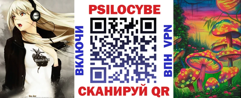 Купить где  Бобров  Псилоцибиновые грибы прущие грибы 